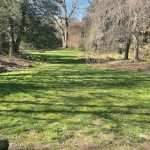 Lawn at Lewis Ginter Botanical Garden