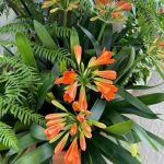 Orange Flowers