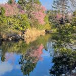 Pond