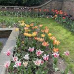 Agecroft Hall 110