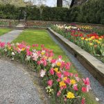 Agecroft Hall 111