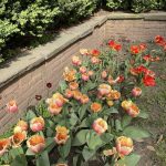 Agecroft Hall 113