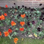 Agecroft Hall 118