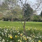Agecroft Hall 126