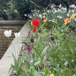 Agecroft Hall 21