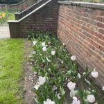 Agecroft Hall 25