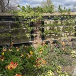 Agecroft Hall 5