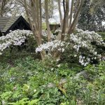 Agecroft Hall 54