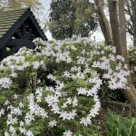 Agecroft Hall 56