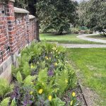 Agecroft Hall 81