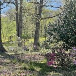 Joseph Bryan Park 11