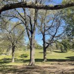 Joseph Bryan Park 2