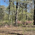 Joseph Bryan Park 28
