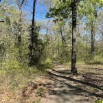 Joseph Bryan Park 29