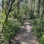 Joseph Bryan Park 32