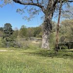 Joseph Bryan Park 4