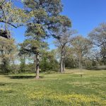 Joseph Bryan Park 5