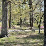 Joseph Bryan Park 6