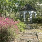 Azalea and Dogwood
