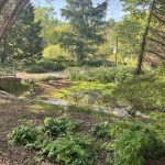 Garden Path at Lewis Ginter Botanical Garden 6