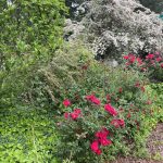 Hanover, Virginia 11