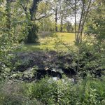 Joseph Bryan Park 3