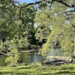 Joseph Bryan Park 7