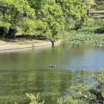 Lake at Joseph Bryan Park