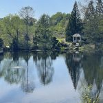 Lake at Lewis Ginter Botanical Garden