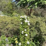 Lewis Ginter Botanical Garden