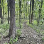 Powhatan County
