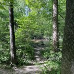 Walking Trail at Joseph Bryan Park