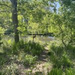 Walking Trail at Joseph Bryan Park 3