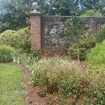 Flowers at Lewis Ginter Botanical Garden 6