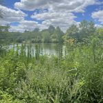 Lake at Lewis Ginter Botanical Garden