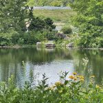 Lake at Lewis Ginter Botanical Garden 2