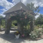 Rose Garden