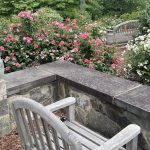 Rose Garden 2