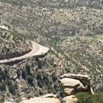 Arizona 10