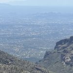 Arizona 11
