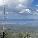 Arizona 15