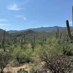 Arizona 5