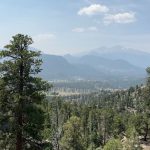 Colorado 11