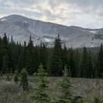 Colorado 40