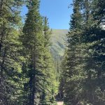 Colorado 45