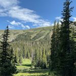 Colorado 46