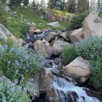 Colorado 49