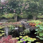 Flowers at Lewis Ginter Botanical Garden 4