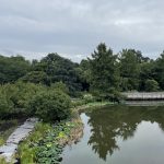 Lake at Lewis Ginter Botanical Garden 2