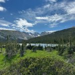Colorado 12